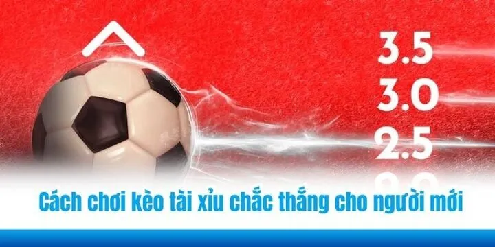 Hướng dẫn chơi kèo tài xỉu (Over/Under) tăng tỷ lệ thắng