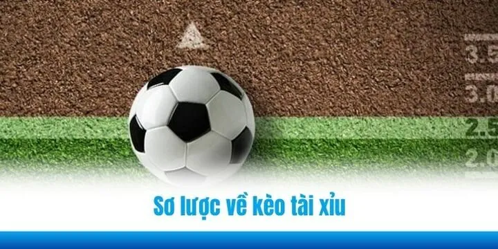 Thông tin sơ lược về kèo tài xỉu (Over/Under) 