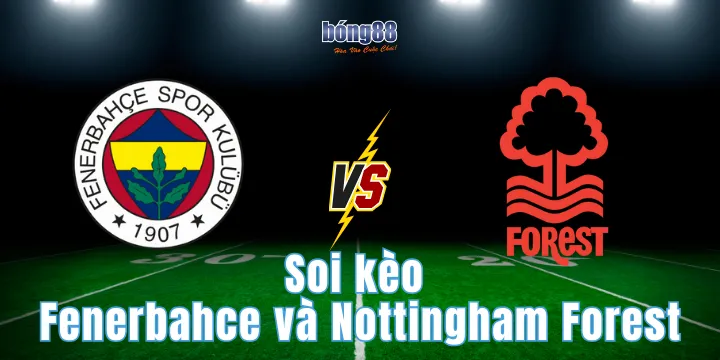 Soi kèo Fenerbahce và Nottingham Forest bách thắng